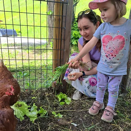 Biobauernhof Fresoldhof Çiftlik konaklama Schladming